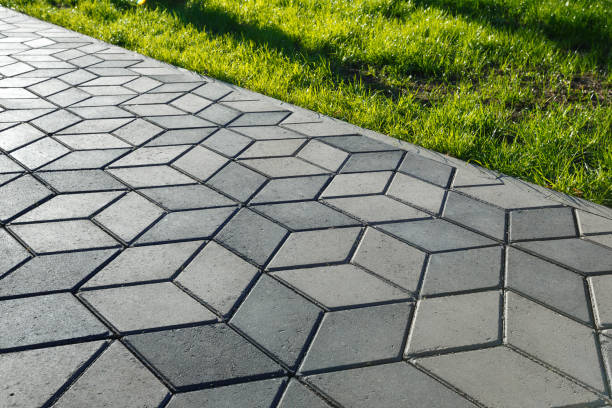 Best Custom Driveway Pavers  in Parshall, ND