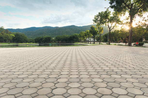 Best Local Driveway Pavers  in Parshall, ND