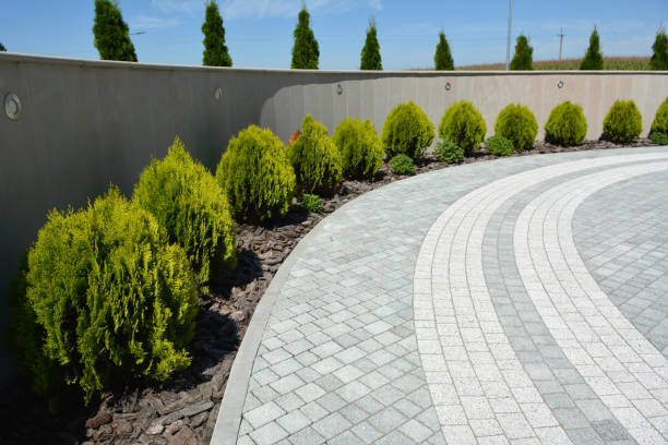 Best Professional Driveway Pavers  in Parshall, ND